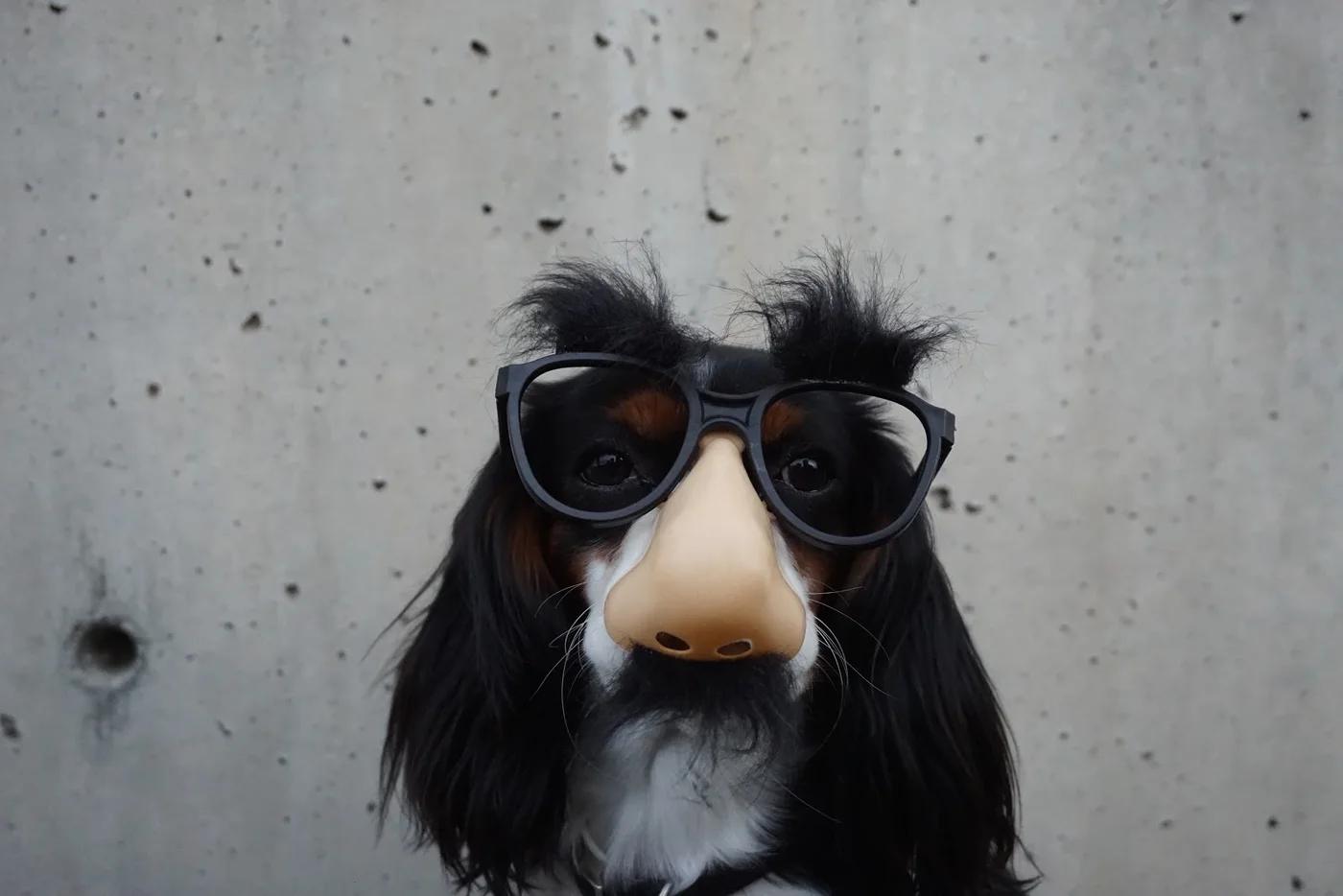 April Fool's Day Shopping Roundup — the practical version
