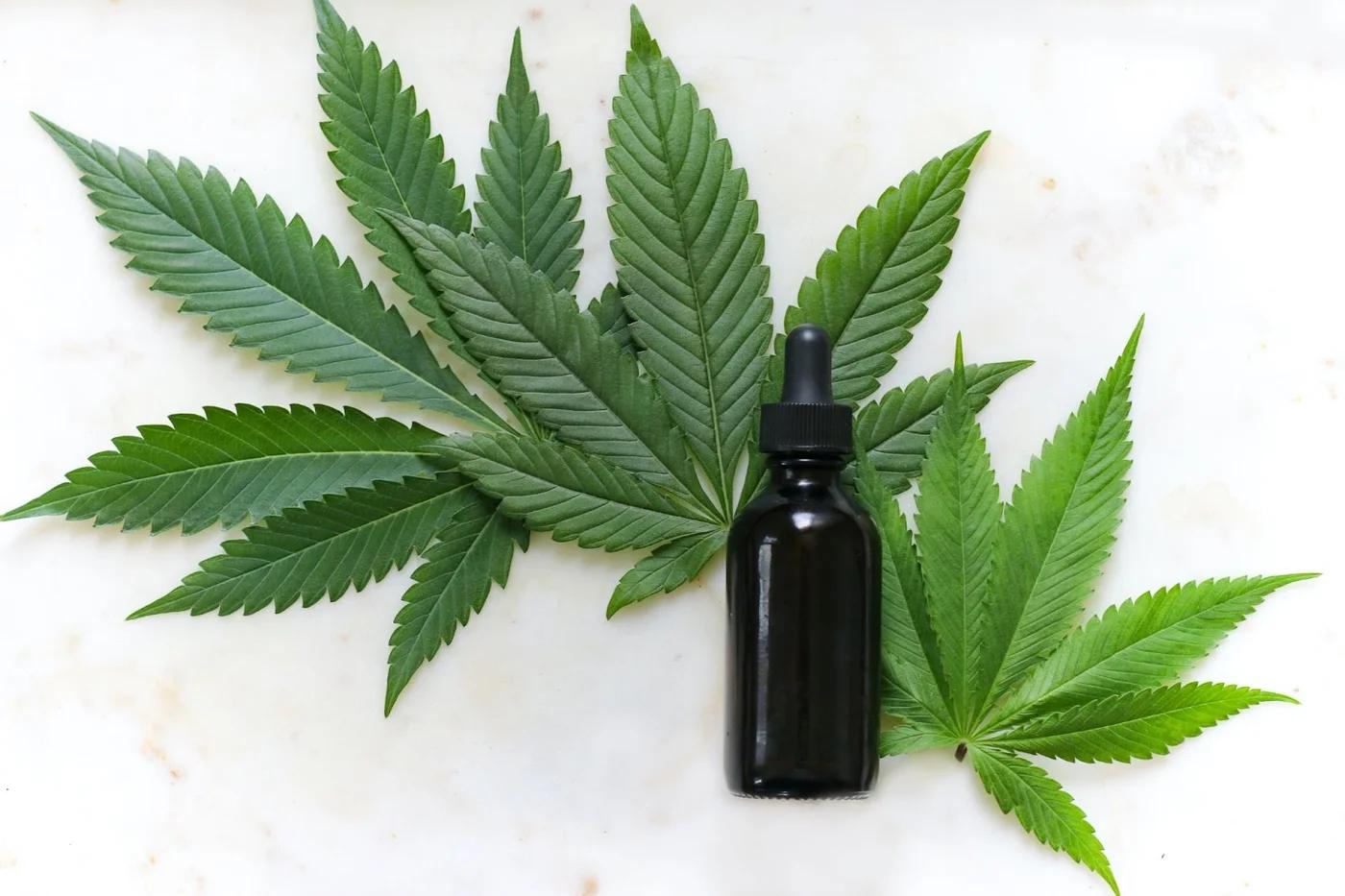Leaf and essential oil bottle