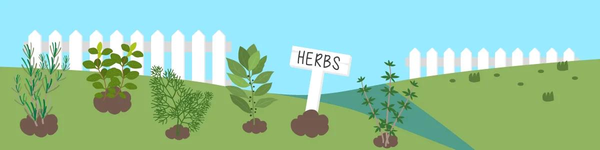 a visualization of a herb garden