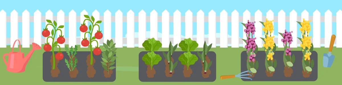 a basic garden setup