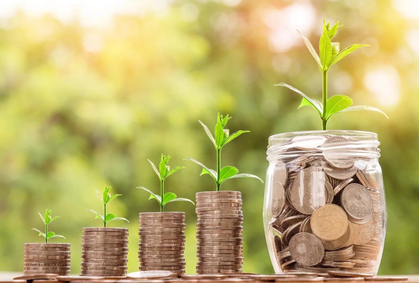 Students: Math and Money Fun