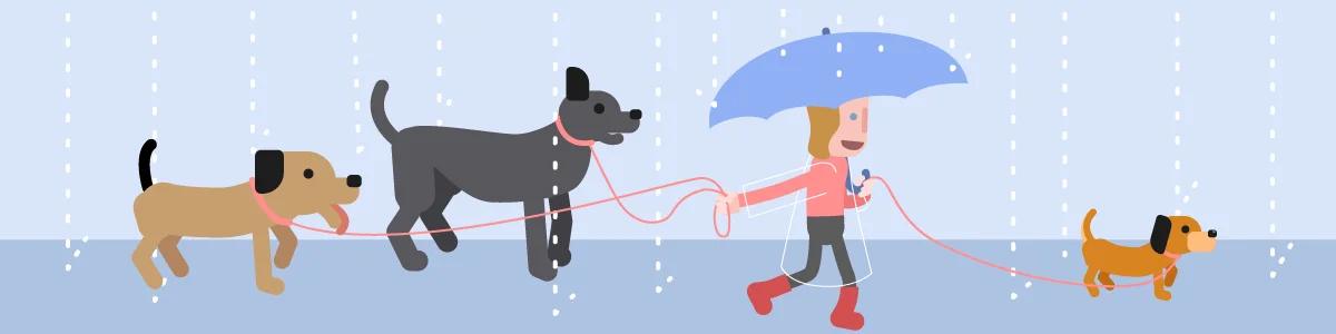 person walking dogs