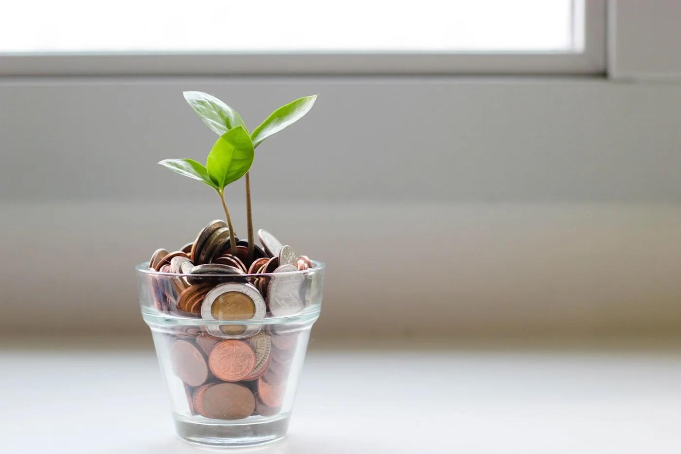 National Savings Day Deals and Offers — worth reading first