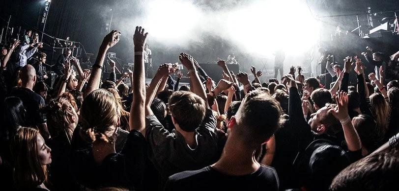Concert goers enjoying a show.
