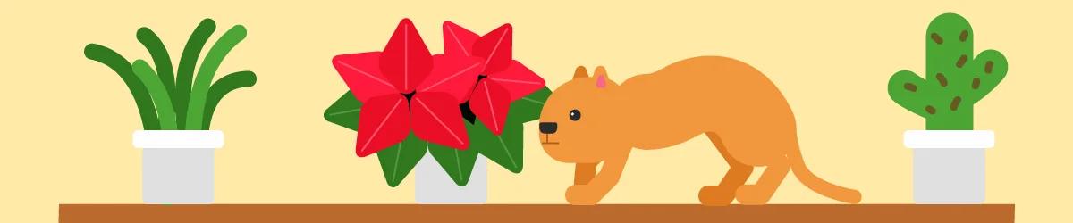 Key Tips for Pet Safety