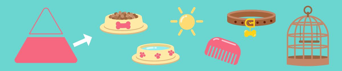 Essential Pet Needs and Key Pet Care Practices