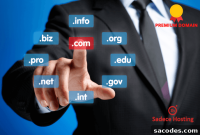 Why Buying a Premium Domain Name Matters for Your Business