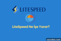 LiteSpeed Web Server: What It Is and How It Works