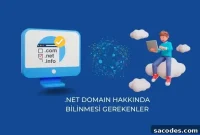What You Need to Know About .net Domains