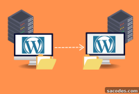 Migrate Your WordPress Site: 5 Plugins to Move It Safely