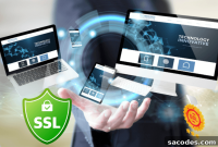 SSL Certificate Types: Which Should You Choose for Your Website