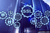 How to Renew SSL Certificates and Check Expiration