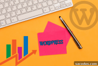 WordPress Analytics and Reporting Plugins