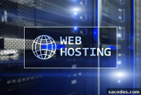 Scalable Hosting Options for High-Traffic Websites