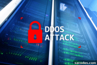 Dedicated Server Security: Encryption, Backups & DDoS Protection