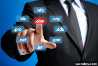 Scalable Domain Name Management