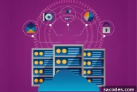 Core Skills for Managing VDS Servers