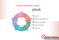 Plesk Panel: Key Features for Web Hosting