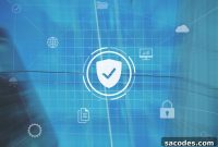 How SSL Affects DNS and Domain Resolution