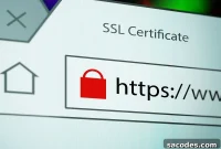 Risks of Running a Website Without an SSL Certificate