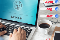 Guide to Domain Name Management Tools and Control Panels