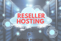 How to Provide Customer Support for Windows Reseller Hosting