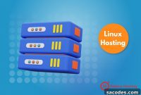 Benefits of cPanel Linux Hosting for Users