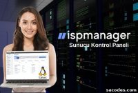 ISPmanager Control Panel: What It Is and How It Works