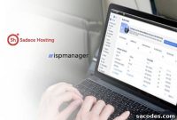 Complete ISPmanager Backup and Restore Guide