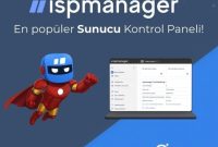 2 Ways to Update ISPmanager Control Panel