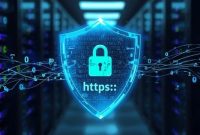 Do SSL Certificates Protect Against Data Theft?