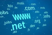 Domain Name Guide: Key Terms and Concepts for Beginners