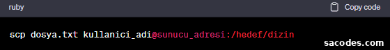 SSH Access on Linux Hosting: How to Connect and Manage Your Server 4 img 14500 3