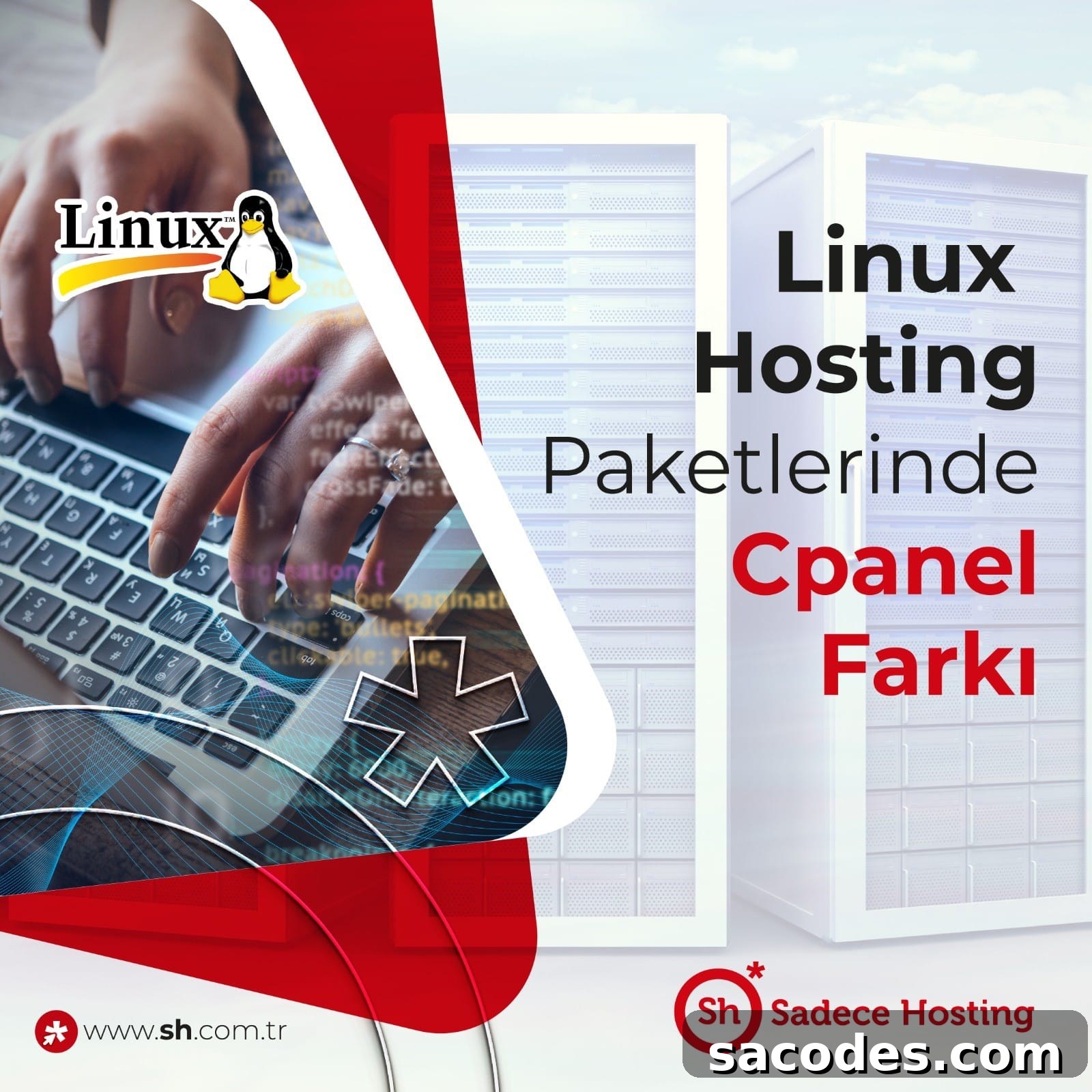 cPanel backup illustration