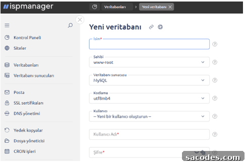 6 Reasons ISPmanager Excels as a Hosting Control Panel 7 ispmanager website and database management