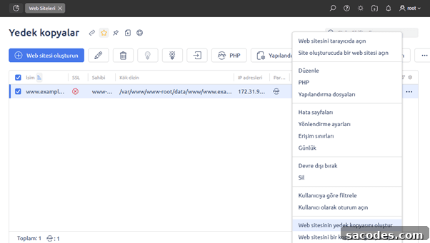 Complete ISPmanager Backup and Restore Guide 6 img 16698 5