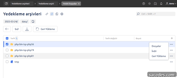 Complete ISPmanager Backup and Restore Guide 8 img 16698 7