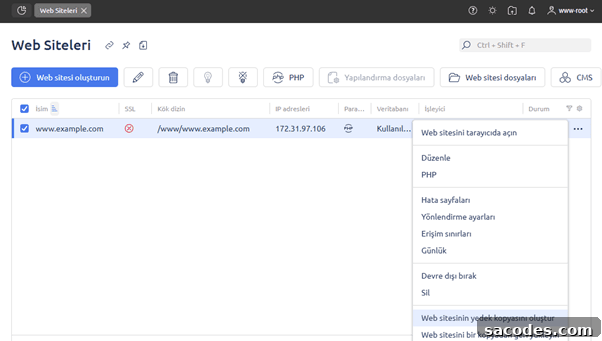 Complete ISPmanager Backup and Restore Guide 9 img 16698 8