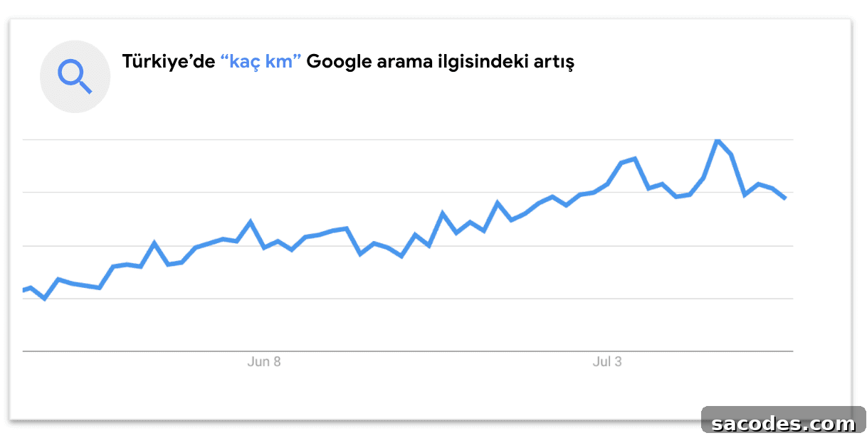 Latest Search Trends: How Far, Water Shoes and Fishing Gear 3 img 613 2