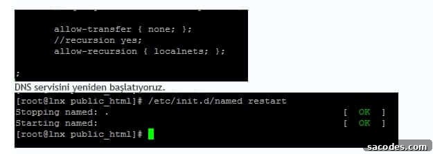 Disable DNS Recursion to Secure Your Server 11 img 791 12