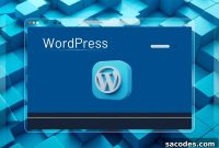 10 Essential Steps After Launching Your WordPress Site
